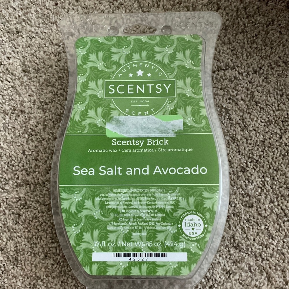 Scentsy Brick